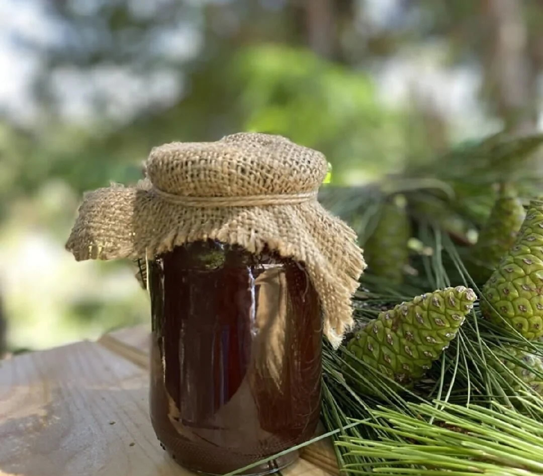 Kozalak Şurubu